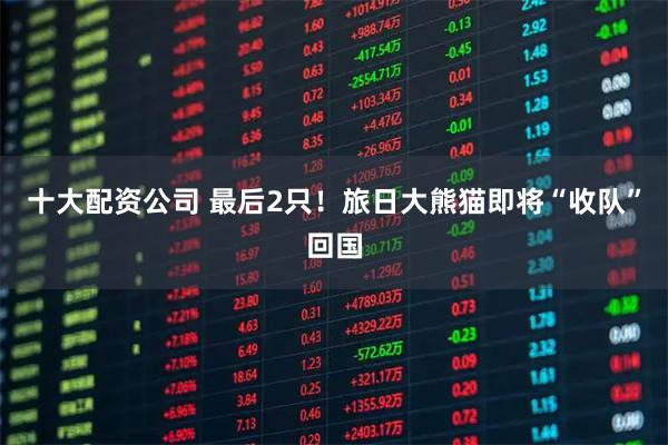 十大配资公司 最后2只！旅日大熊猫即将“收队”回国