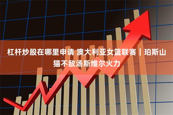 杠杆炒股在哪里申请 澳大利亚女篮联赛｜珀斯山猫不敌汤斯维尔火力